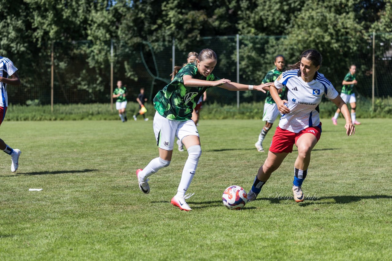 Bild 412 - wBJ Hamburger SV - VfL Wolfsburg : Ergebnis: 5:1
